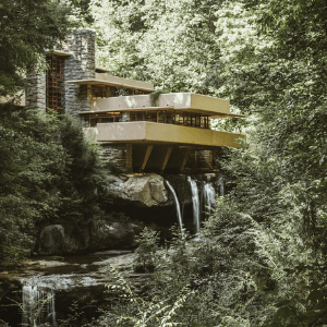 Maison dans un arbre